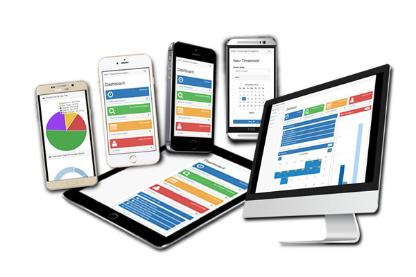 Screenshot of MSCTIME Online Timesheets